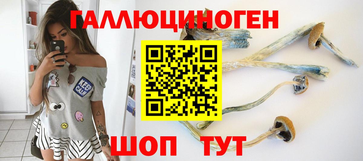 Псилоцибиновые грибы Psilocybine cubensis Бузулук