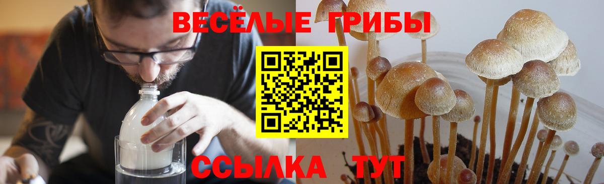 Псилоцибиновые грибы MAGIC MUSHROOMS  Галлюциногенные грибы ЛСД  Вход с VPN  Бузулук 