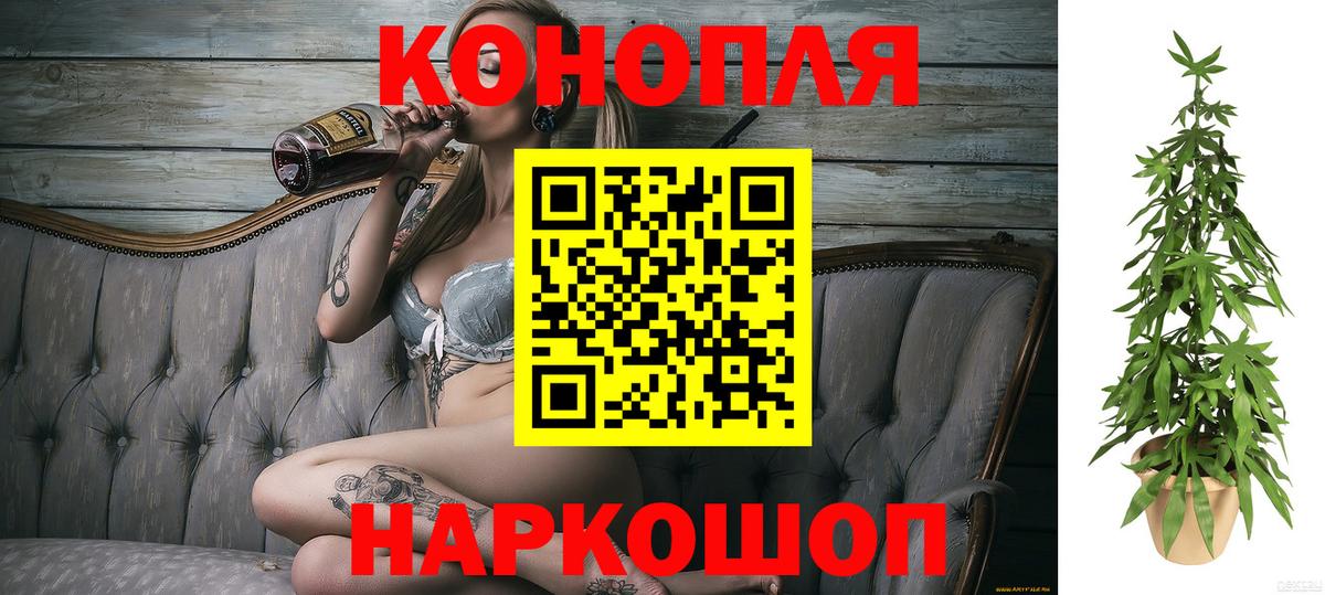 Бошки марихуана план  МАРИХУАНА ГИДРОПОН  Каннабис планчик  МАРИХУАНА ГИДРОПОН  Бузулук  Вход с VPN 